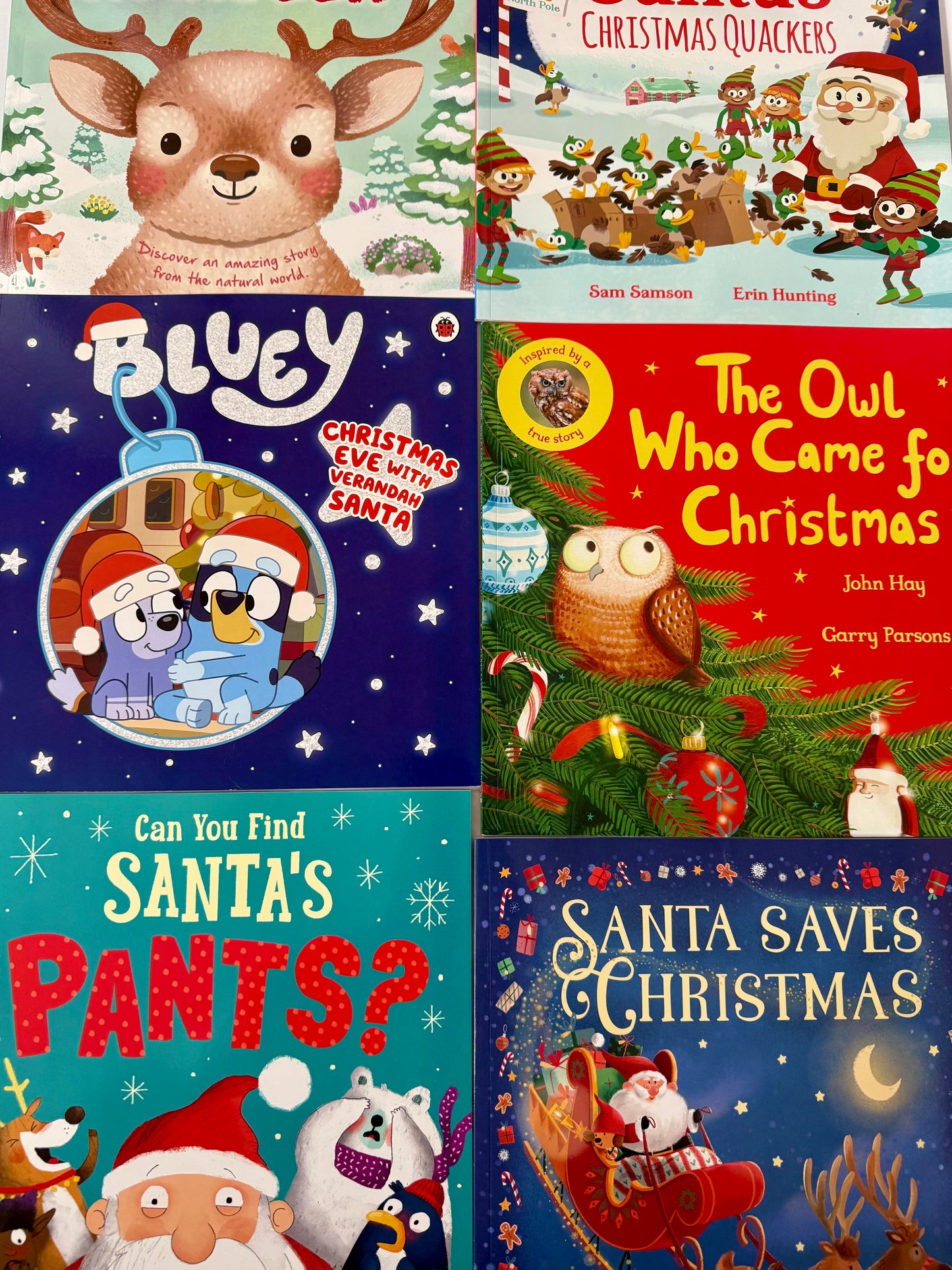 Childrens Christmas Book Advent Calendar