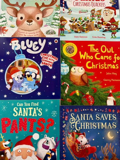 Childrens Christmas Book Advent Calendar